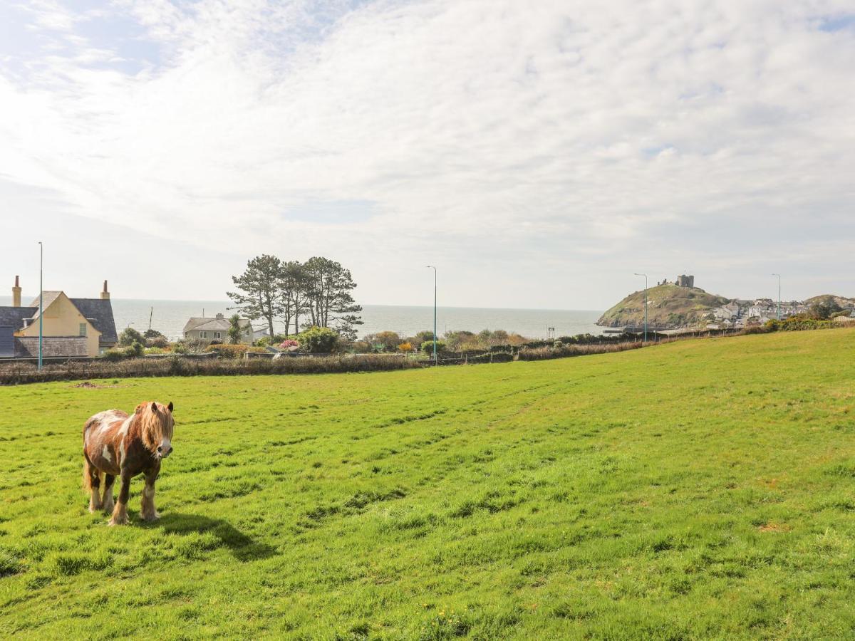 Awelfryn Vila Criccieth Exterior foto