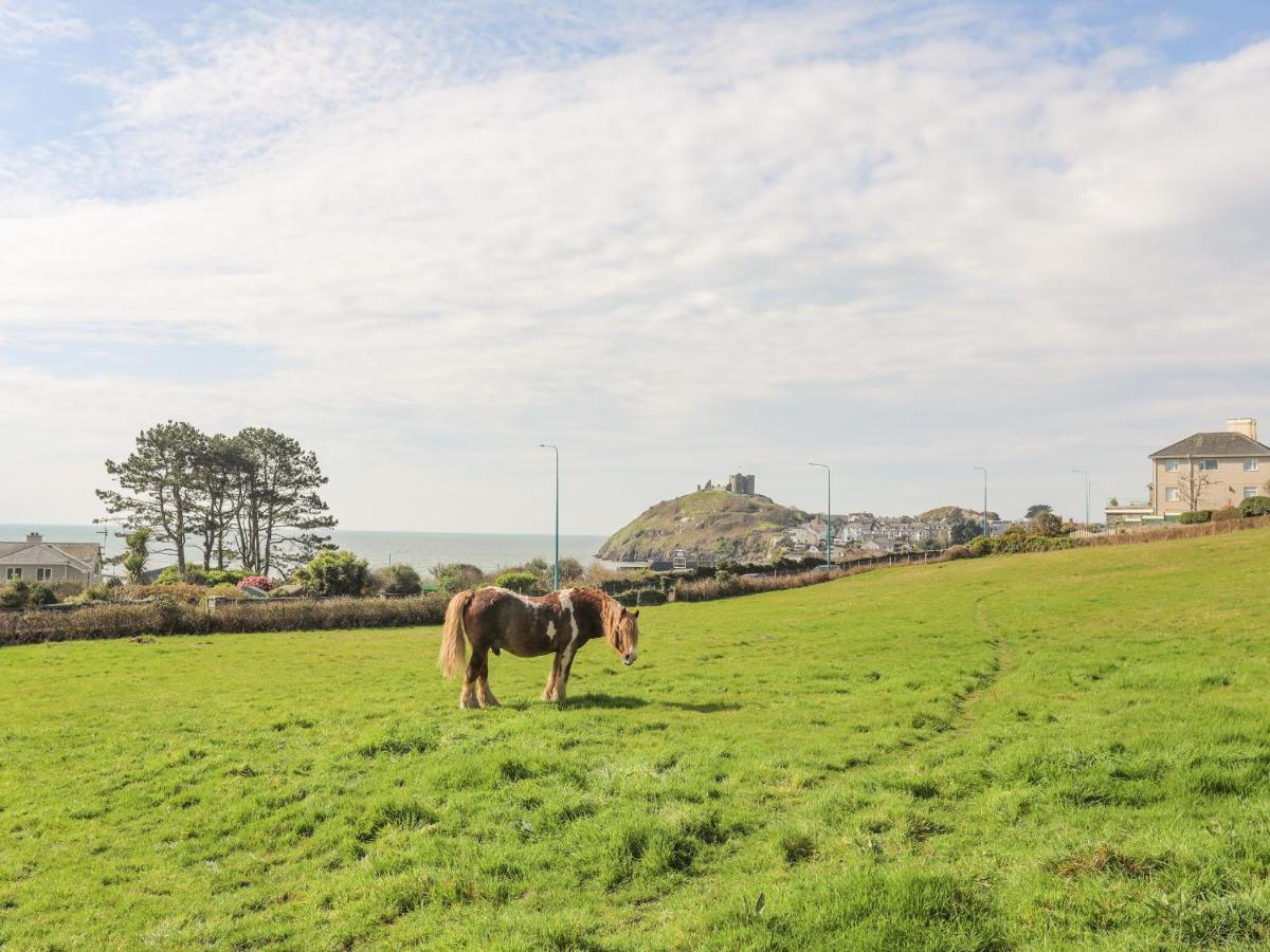 Awelfryn Vila Criccieth Exterior foto